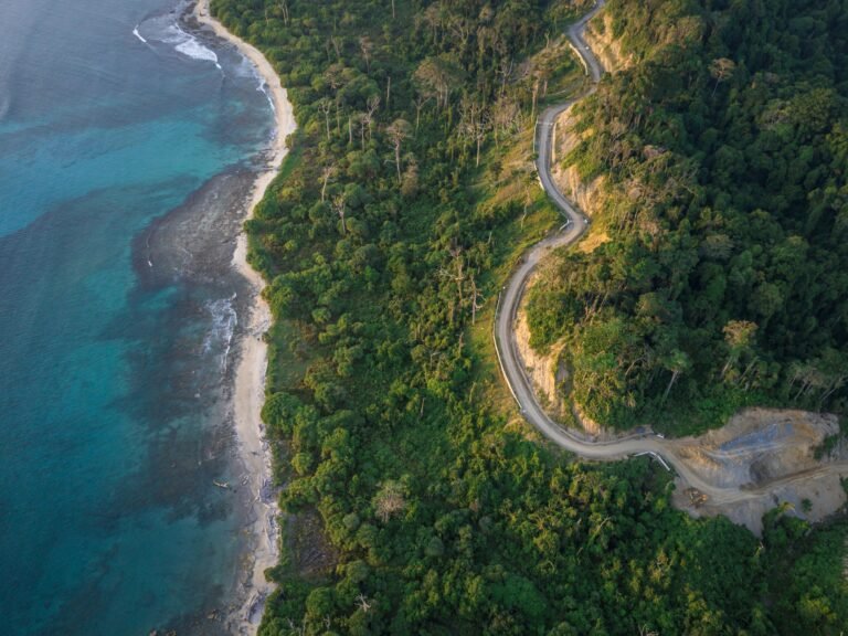 Breathtaking aerial view of winding coastal road along lush forest and vibrant ocean in AN, India.